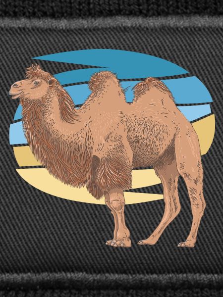 Camel
