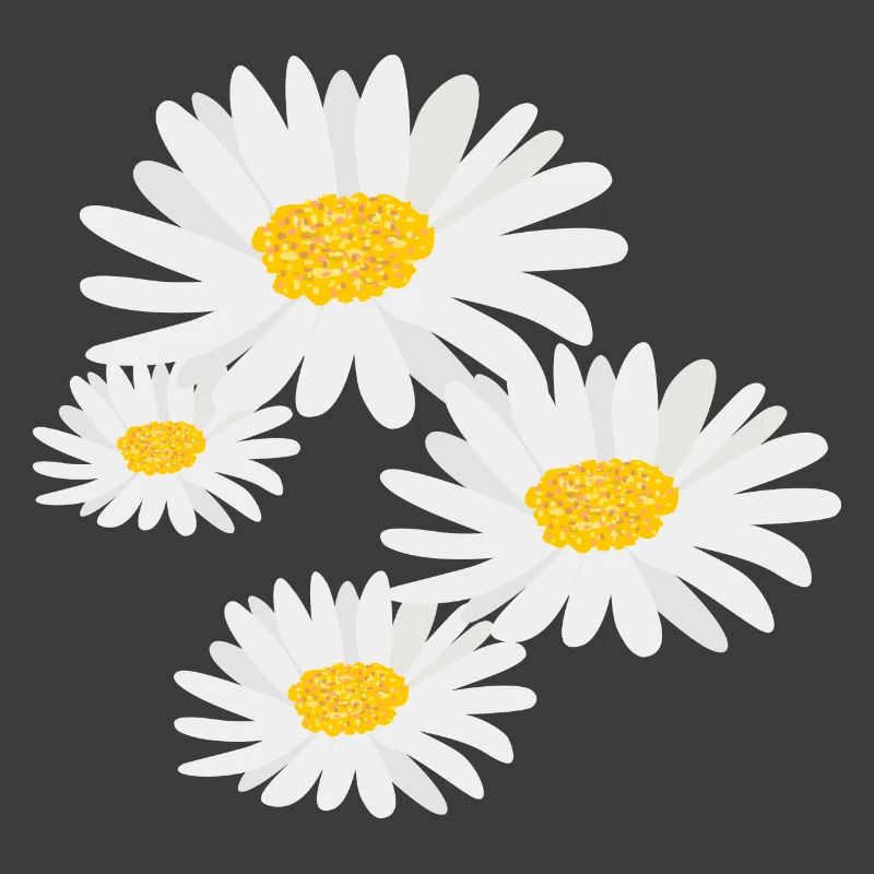 Blume Gänseblümchen