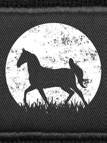 Pferd Pferde Reiten