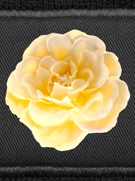 Rose Fleur