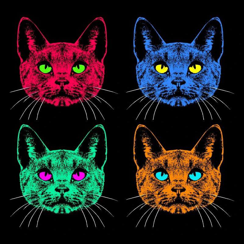 Vier Farben Katzen / Cats like Warhol