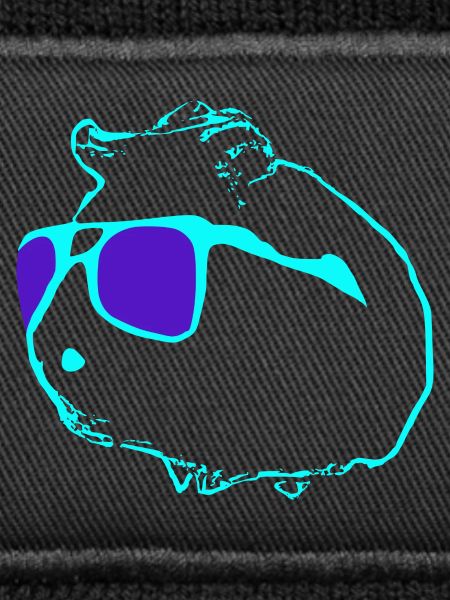 Cool guinea pig