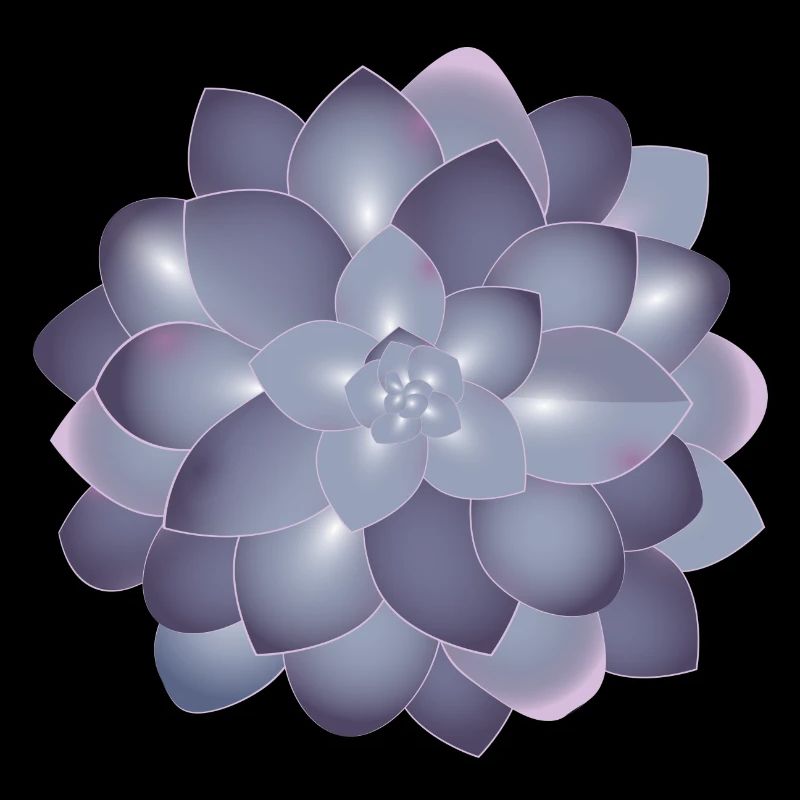 De belles plantes succulentes s’épanouissent dans des couleurs délicates