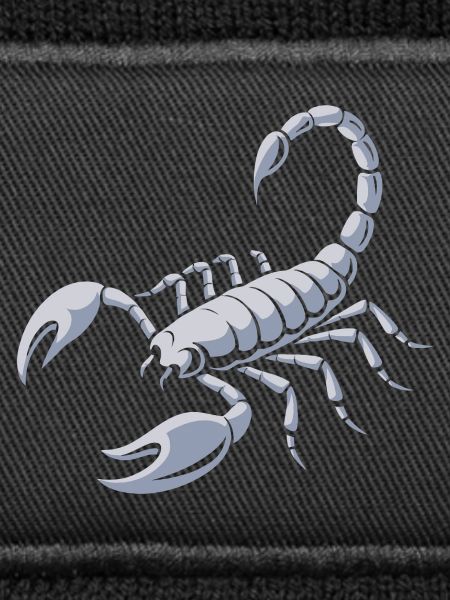 Grimmiger Skorpion