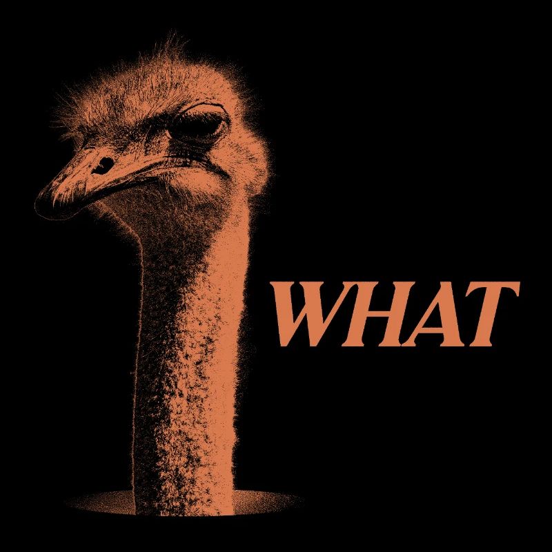 What?! – Grummelnder Strauß