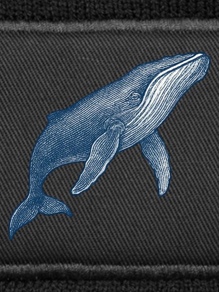 Stylised Blue Whale Illustration