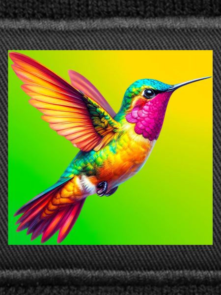 colibri