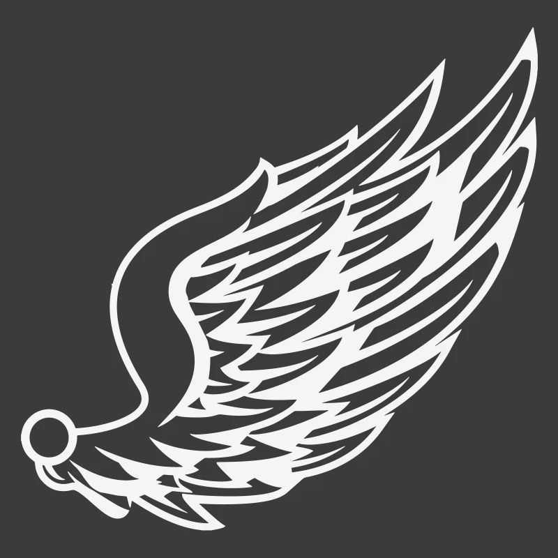 Wings with dynamic feather drawing