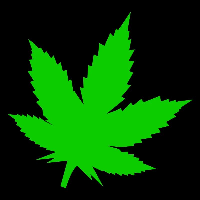 Silhouette de feuille verte