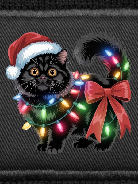 Christmas Cat