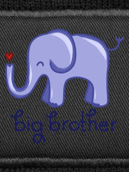 Big Brother
