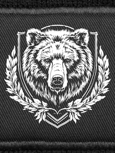 Blason de l’ours