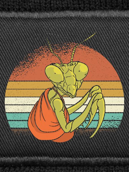 Mantis in retro sunset