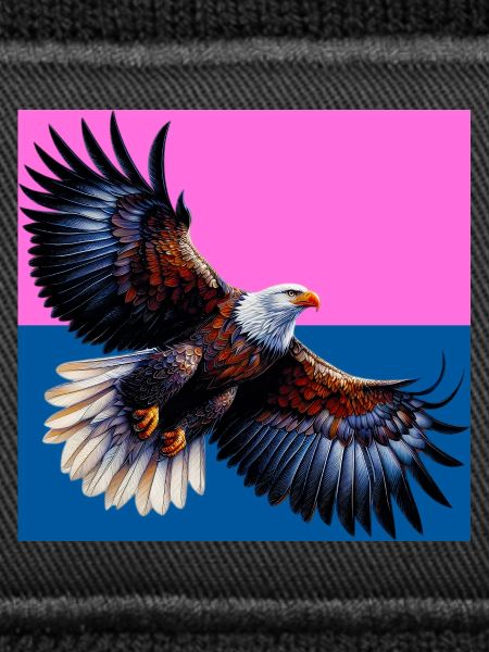 aigle