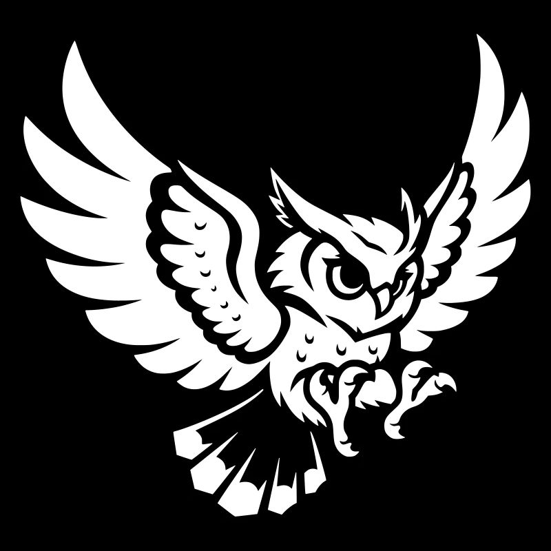 Owl in Approach – Powerful Motif