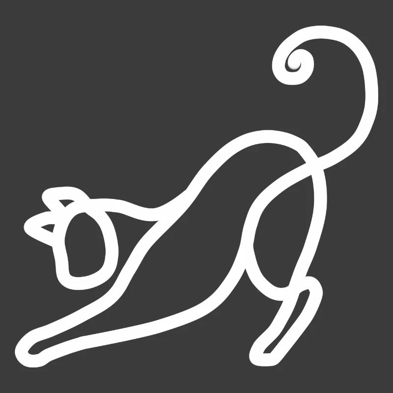 Chat minimaliste