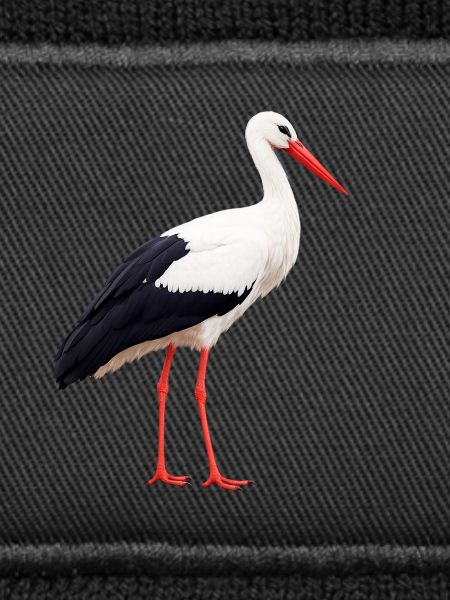 cigogne