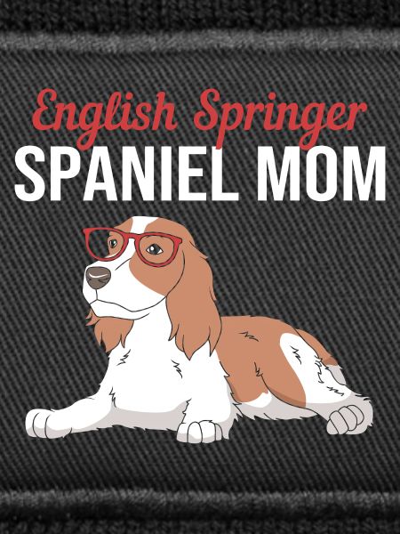 Springer Spaniel Dog