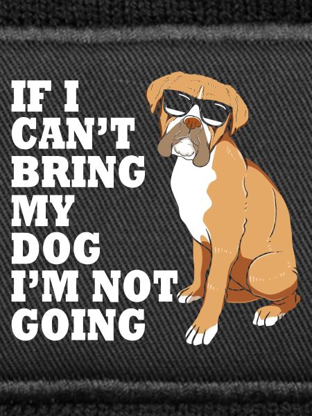 Boxer Hund