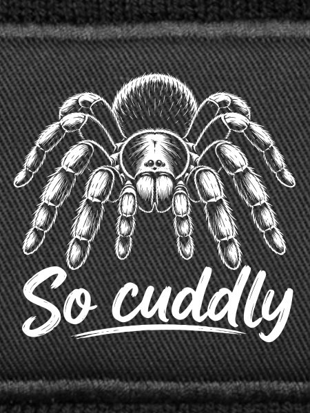 Spider Friend
