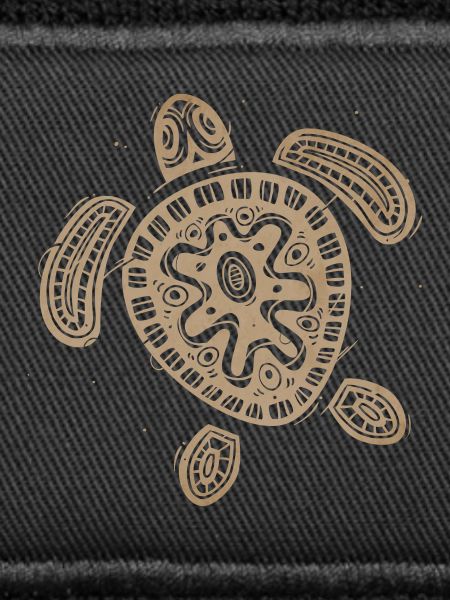 Hawaii Turtle