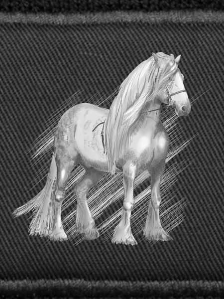 Cold-blood horse