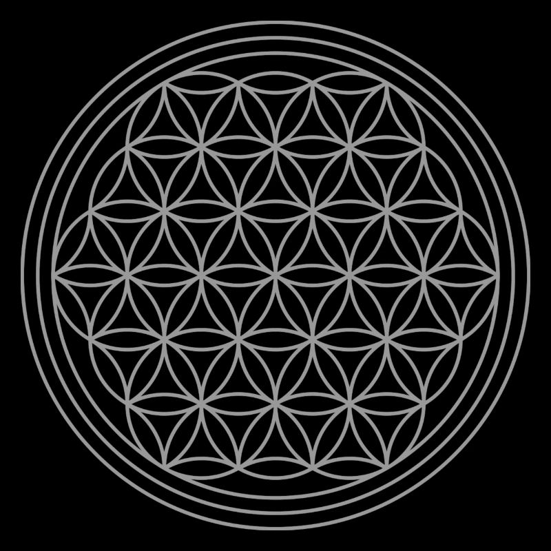 Blume des Lebens in silber