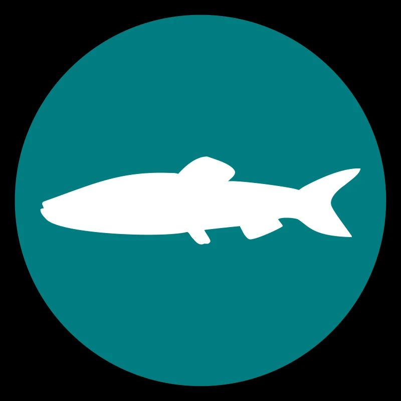 poisson