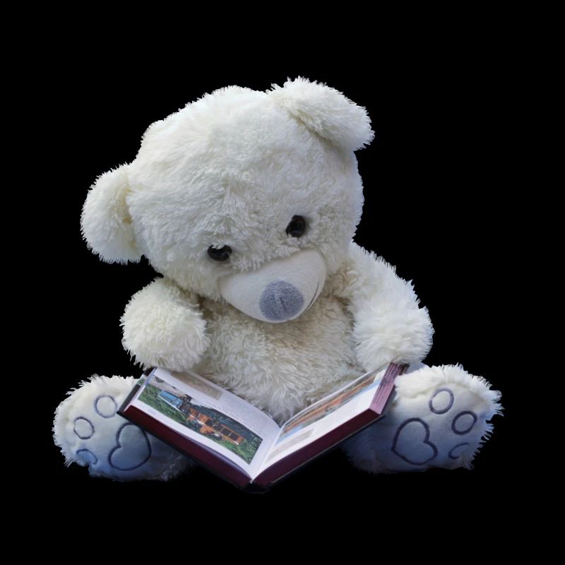 Teddy
