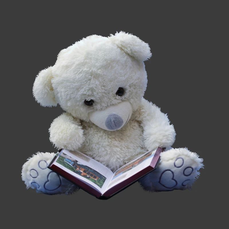 Teddy