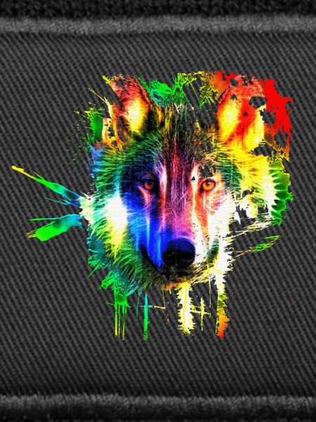 Wolf Splash Modern