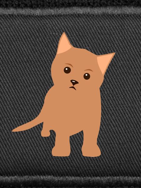 Brown kitten