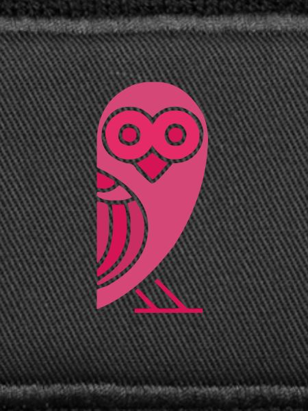 Owls chicks