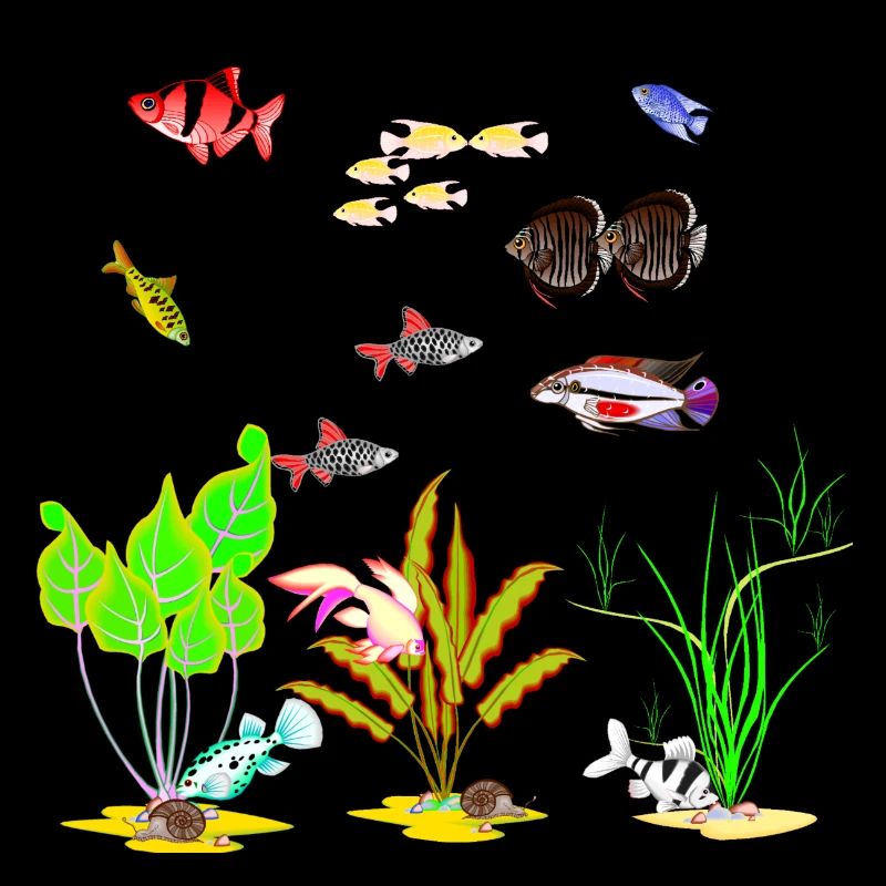 Mon Fish Tank 3