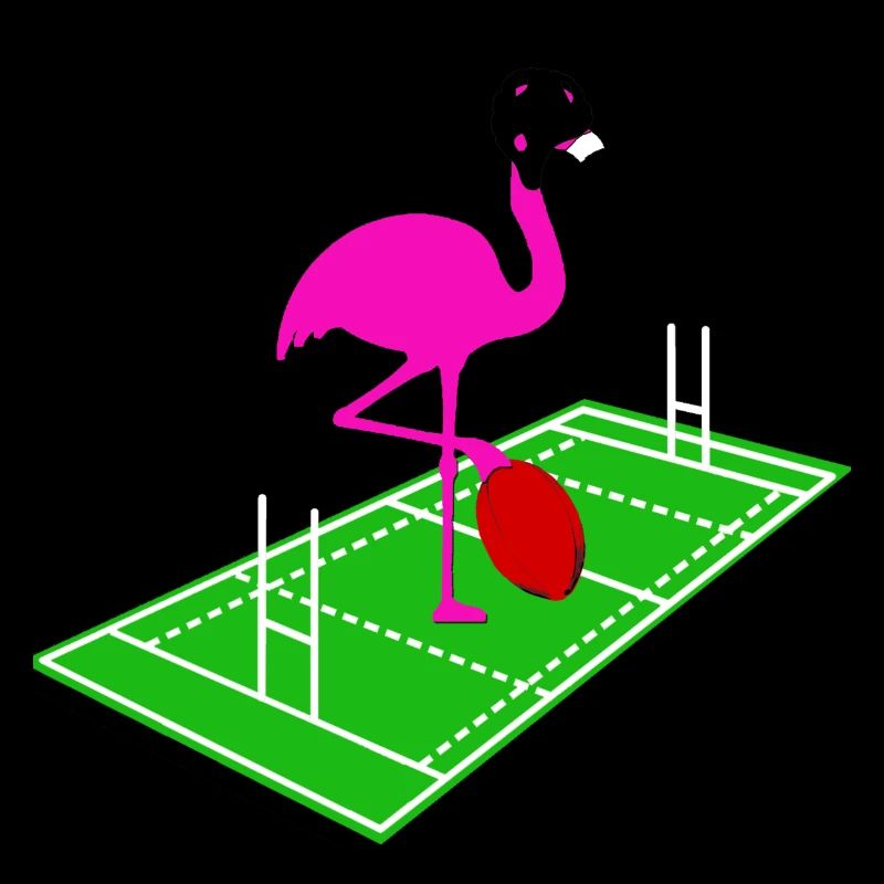 Rugby Flamingo