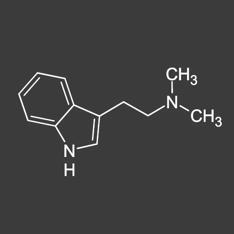 DMT