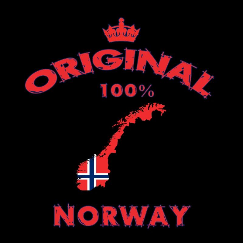 Norvège 100 % Original / Cadeau drapeau