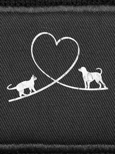 Chat et chien