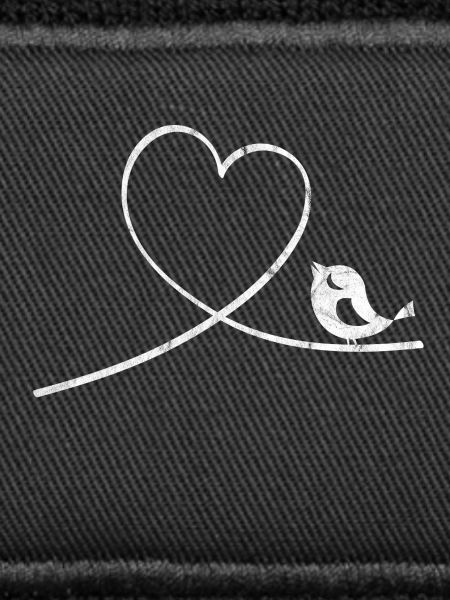 Bird Budgerigar Parrot Heart