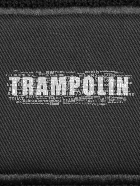 trampoline