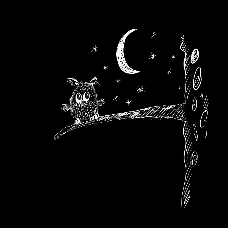Kleine Nachteule I Eulen Funmotiv I Mond