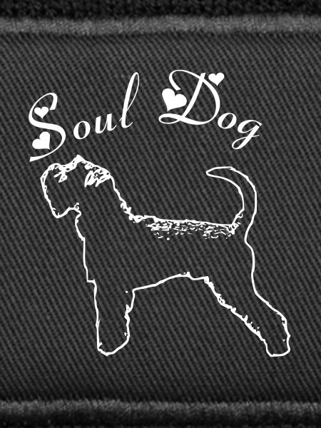 Schnauzer Soul dog