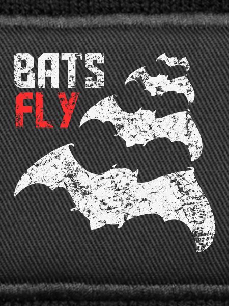Bats Fly