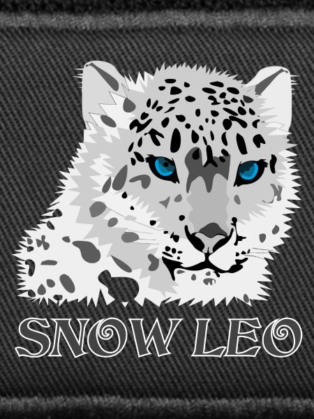 Snow Leopard Big Cat