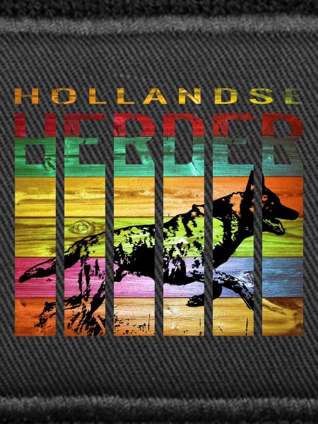Hollandse Herder Kurzhaar