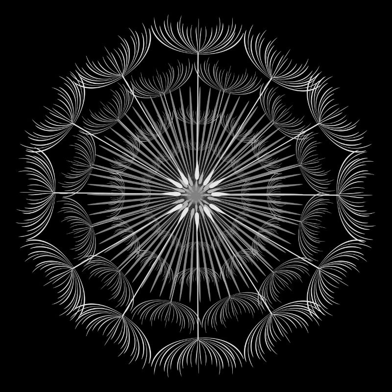 very delicate mandala made from dandelion seeds