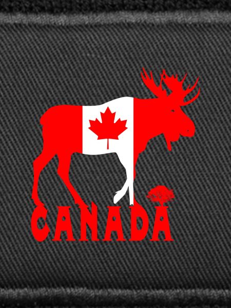 Canada Elch