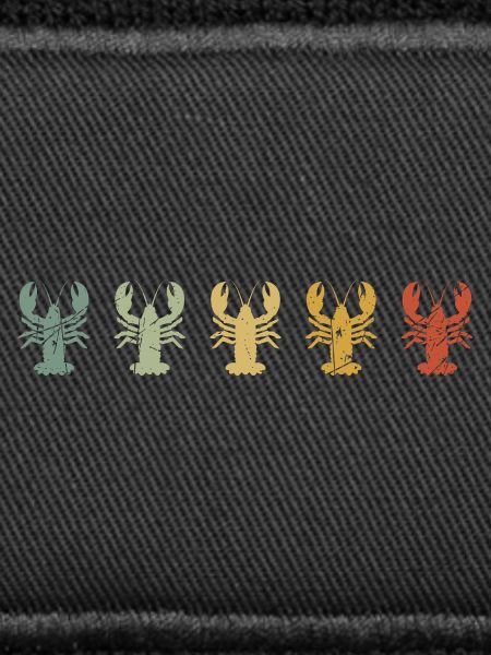 Gradient Lobster Series