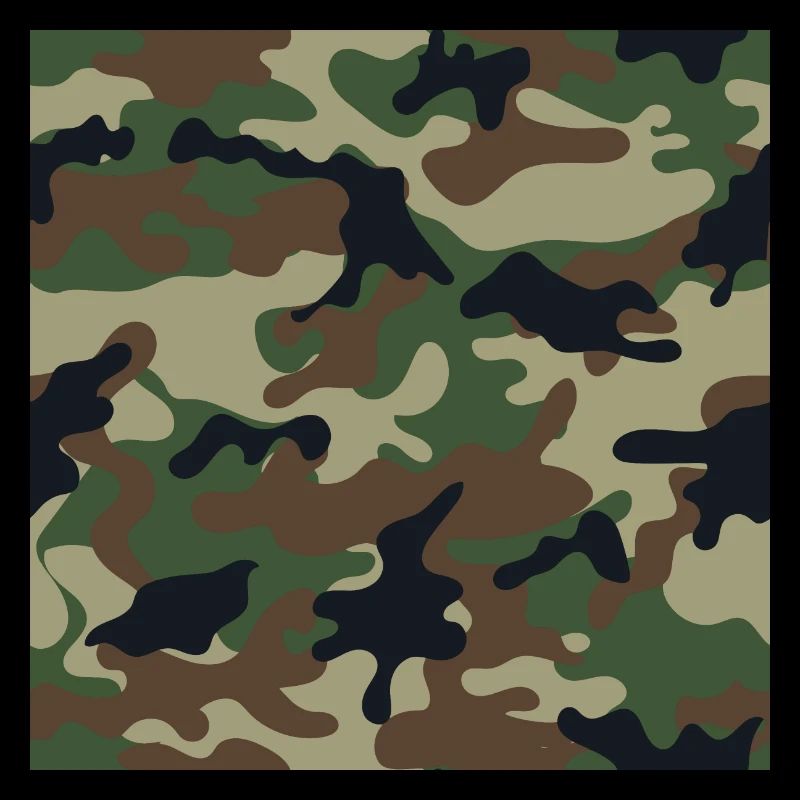 Wallpapered traditional camouflage patterns