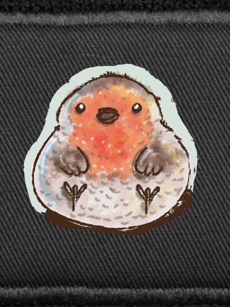 Bubble Robin